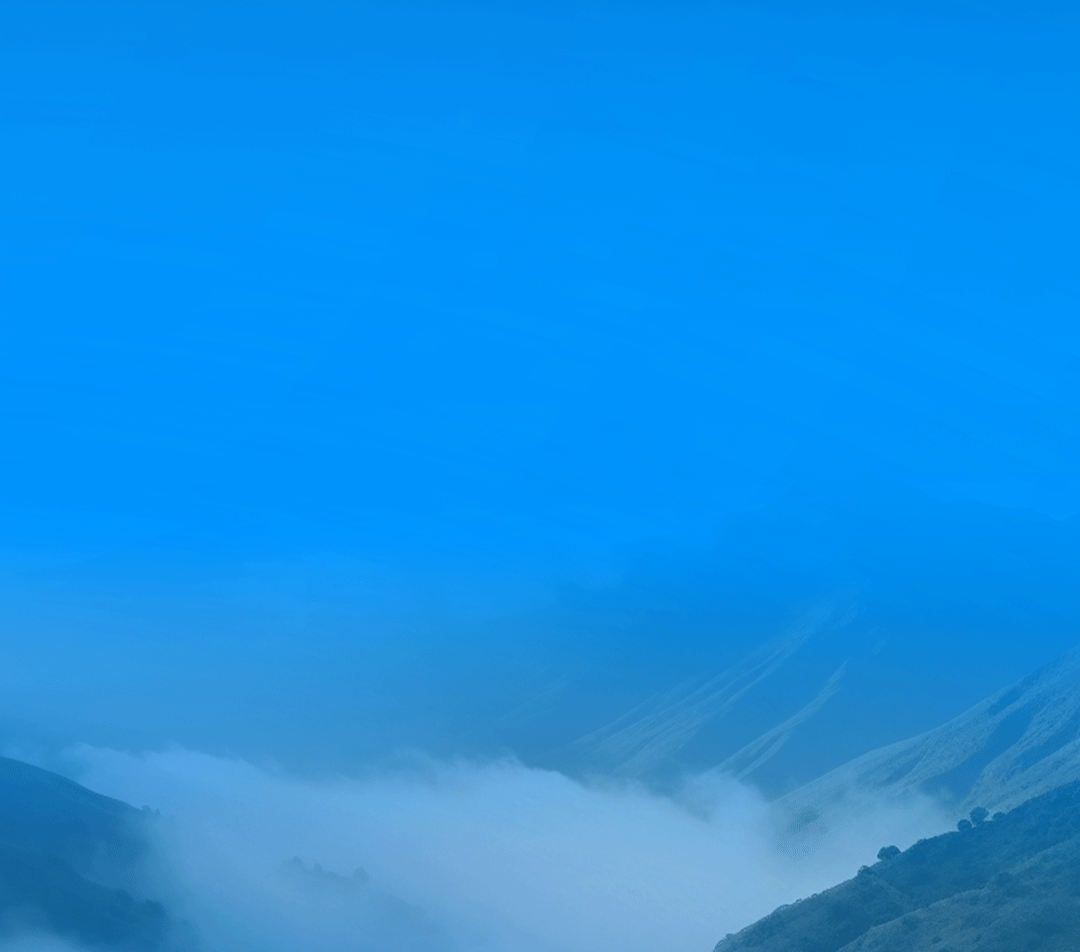 3月28日，，，，，，，，我们有一个重大决议