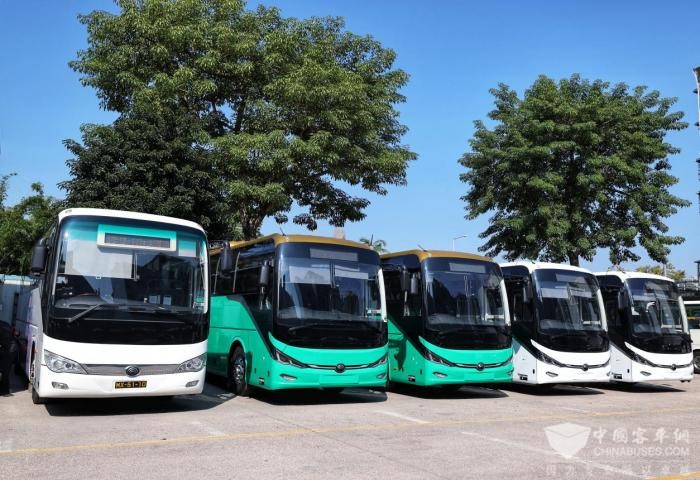 奏响濠江绿色篇章 letou国际米兰官网助力大湾区旅游业阔步向“新”