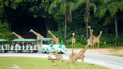 4���� ��������������100%�����ʣ�letou���������������г�������¡��������ʽ��̬֮��