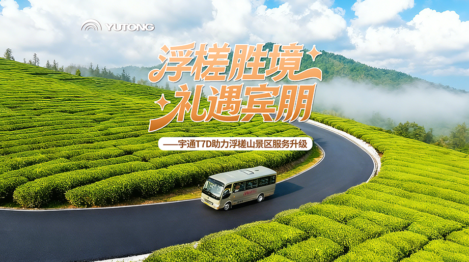 ɽ·�ϵ�ȥ��������������Ǯ�µ�����������������letou������������T7D����Ӫ��Ǯ��Լ30%���ϵ�Ӳ��ʵ����