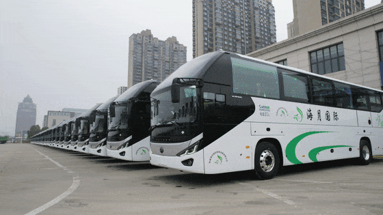 �����Ż���������������ͻ�ƣ�letou������������3�������󵥻��Ƚ������