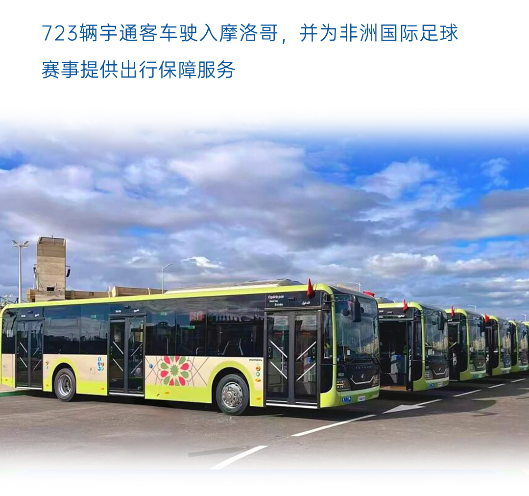 һͼ����letou������������2025���ҵ��