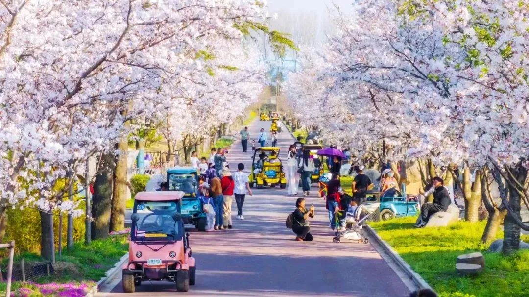 letou���������������¼�ح���������ܰ�ʿ�������ξ���һ�𡰷�����